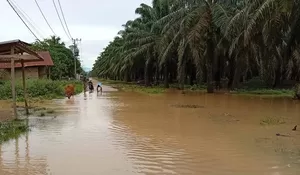 Banjir besar November  2025 belum pulih , Aceh Tamiang kembali dihantam banjir susulan