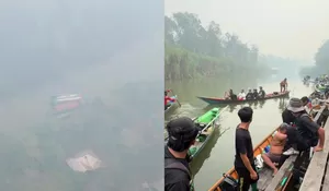 Relawan Taman Nasional Tanjung Puting Menyerah, Kewalahan Padamkan Api Karhutla