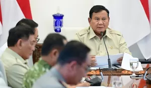Rapat terbatas dengan  Presiden, BNPB beberkan kondisi karhutla di enam Provinsi