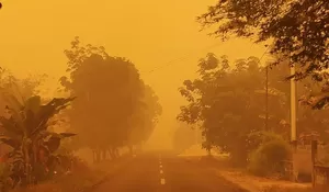  Kabut Asap Masih Meluas, Kenapa Karhutla Belum Berstatus Bencana Nasional?
