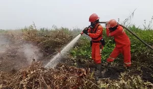 Indonesia sudah penuhi kewajiban pelaporan karhutla kepada ASEAN ACC THPC
