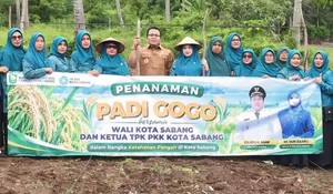Kota Wisata Sabang Kembangkan Padi Gogo Dukung Ketahanan Pangan