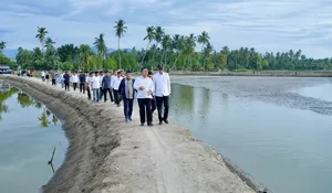 5.814 Ha tambak pulih, KKP alokasi anggaran pemulihan 371,8 miliar tahun 2026
