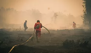Komisi II desak cabut HGU perusahaan pembakar lahan di Kalsel