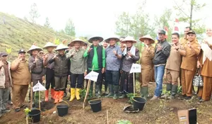 Gerakan Restorasi  Ekonomi Kerakyatan, diawali tanam kopi perdana di Gayo Lues