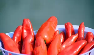 Jangan Kaget! Segini Harga Cabai Rawit Merah di Blitar Hari Ini