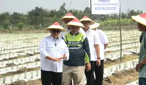 Dorong Produktivitas Petani, Bupati Blitar Tanam Cabai Rawit di Desa Sleman