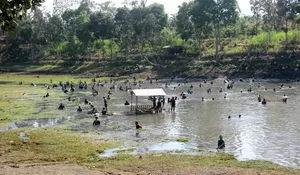 Bupati Blitar Dorong Festival Gogoh Iwak Jadi Penggerak Wisata Desa Soso