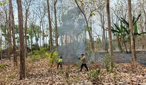 Api Muncul di Kawasan Hutan Jegu Blitar Saat Patroli, Polisi Turun Tangan Padamkan Kebakaran