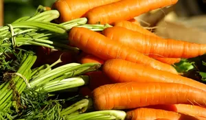 Perbandingan Harga Wortel Blitar dan Lumajang, Selisihnya Rp4.667 per Kg