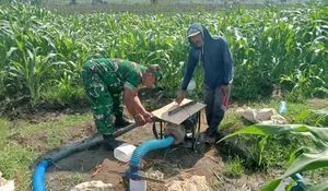 Dukung Hanpangan Lokal, Babinsa Koramil 0808/02 Garum Pendampingan Pengairan Tanaman Jagung di Kelurahan Bence
