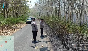 Api Membakar Daun Jati Kering di Doko Blitar, Polisi dan Perhutani Bergerak Cepat