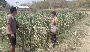 Polres Blitar Dorong Kesejahteraan Petani melalui Program Ketahanan Pangan