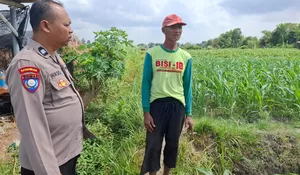 Polres Blitar Perkuat Sinergi dengan Petani Jagung di Desa Banggle