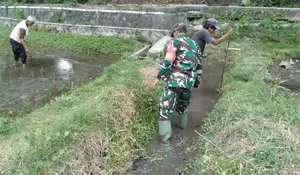 Cegah Genangan Dan Optimalkan Irigasi, Babinsa Koramil 0808/20 Sananwetan Gotong Royong Bersihkan Aliran Air Lahan Padi