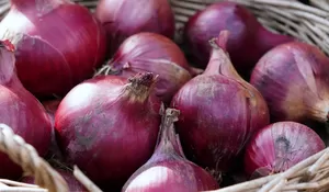 Harga Bawang Merah di Tulungagung Lebih Rendah dari Rata-rata Jawa Timur