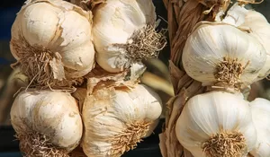 Harga Bawang Putih di Kota Blitar Rp27.000 per Kg, Lebih Mahal Rp1.000 Dibanding Jombang