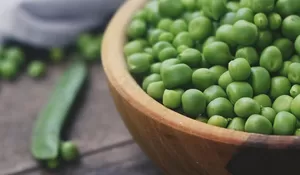 Harga Kacang Hijau di Jawa Timur Tembus Rp34.000 per Kg, Kabupaten Blitar Terendah Rp18.000