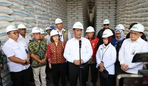 Gudang Sewa Bulog Terisi Penuh, Mentan Amran Optimistis Swasembada Pangan Menguat
