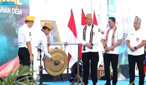 Buka TKN, Wamendagri Dorong Inovasi Daerah Guna Percepatan Pembangunan 