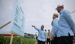 PM-AAS Dongkrak Produksi Padi hingga Tiga Kali Lipat, Mentan Pastikan Swasembada Pangan Berkelanjutan