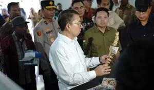 Tinjau Museum Sultra, Fadli Zon Tegaskan Muna Miliki Lukisan Purba Tertua di Dunia