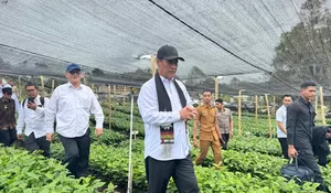 Sidak Perbenihan Kopi Gayo di Bener Meriah, Mentan Amran Bidik Ekspor Kopi Indonesia Tembus Rp100 Triliun