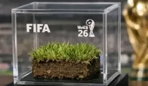 FIFA Sukses Jual Habis Rumput Final Piala Dunia, Harga Memorabilia Tembus Rp 53 Juta per Unit