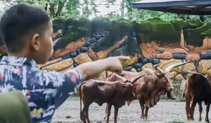 Pemkot Surabaya Cari Dirut KBS Baru, Syaratnya Kompeten Urus Satwa