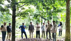 Kisah Yopanda, Kerja Keras dan Raih Kesempatan Bekerja Sektor Industri di Tanggamus