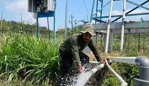 Mengubah Kemarau Menjadi Harapan, Pertamina Dampingi Petani Boyolali Bangkit dan Lebih Sejahtera