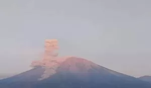 Kebakaran di Blok Ranu Kembang, TNBTS Tutup Total Pendakian Gunung Semeru
