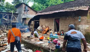 Cuaca Ekstrem Terjang Mayang, BPBD Jember: Dua Rumah Warga Rusak Tertimpa Pohon Tumbang