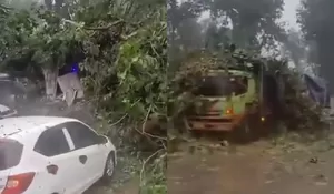 Pohon Tumbang Lumpuhkan Jalur Alas Roban Batang, Cuaca Ekstrem Picu Kemacetan Parah dan Gangguan Listrik