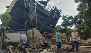 Angin Kencang Sebabkan Puluhan Pohon Tumbang di Jember, Fasilitas Pendidikan Rusak, dan Satu Orang Terluka