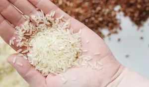 Kata- Kata Mutiara Tema Sedekah Cocok untuk Kewajiban Membayar Zakat, Ayo Ajak Semua Orang Berbuat Baik di Ramadhan 1447 H