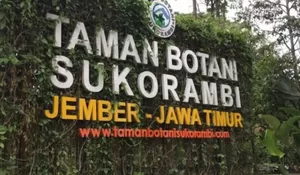 Libur Lebaran Bersama Kelurga Mau Kemana? Coba ke Taman Botani Jember, Berwisata Sekaligus Edukasi Untuk Anak-Anak