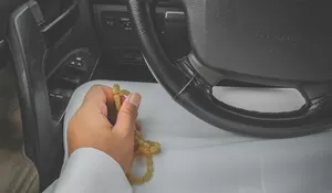 Hati Tetap Tenang saat Mudik, Lakukan 5 Amalan Ini saat Menempuh Perjalanan Jauh Agar Mendapat Perlindungan dan Selamat Sampai Tujuan