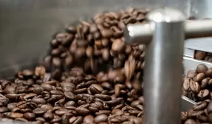 6 Hal Penting yang Wajib Diketahui Penikmat Kopi Hitam, dari Jenis Biji hingga Teknik Seduh