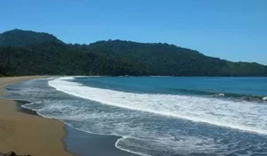 Menepi dari Keramaian, Inilah 3 Hidden Gem Wisata Alam Jember untuk Penutup Libur Lebaran