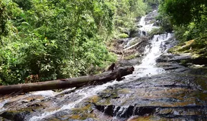 Situs Sungai Bersejarah di Olean Situbondo Diduga Pernah Menjadi Jalur Perahu Saudagar Majapahit