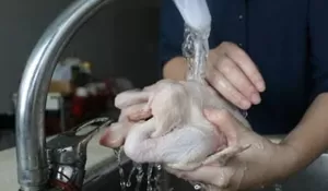 Jangan Asal Cuci Ayam Mentah! Dokter Ungkap Risiko Hujan Kuman dan Bakteri yang Bisa Menyebar ke Seluruh Dapur