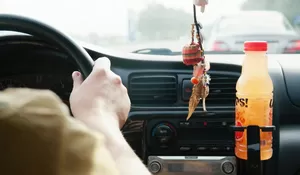 5 Jenis Tanaman Herbal Ini Pas Dibawa Saat Mudik dan Arus Balik Lebaran, Dijamin Bikin Perjalanan Lebih Nyaman