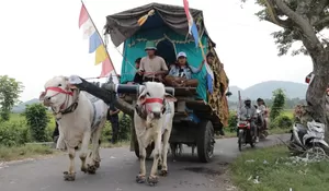 Pagelaran Budaya Jember, Puluhan Pegon Hiasi Jalur Pantai Watu Ulo dan Papuma di Momen Lebaran Ketupat