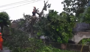 Puluhan Rumah Rusak dan Akses Jalan Terputus Akibat Longsor di Jember