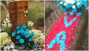 Cerita Penjual Bunga di TPU Tanah Kusir, Indahnya Mawar Biru yang Menghiasi Pusara Vidi Aldiano, Jadi Pembawa Rezeki bagi Banyak Orang