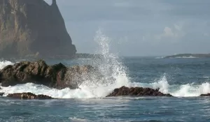 Papuma Singkatan Apa? Ternyata Begini Asal Usul Nama Pantai Pasir Putih di Jember, Diambil dari Kata...
