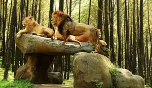 Taman Safari Prigen Pasuruan Tawarkan Sensasi Berbeda, Dari Safari Satwa hingga Off-Road ATV Menantang