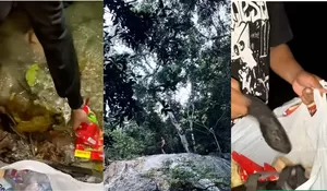 Mulai Ramai Pengunjung, Air Terjun Watu Ondo di Tempurejo, Jember Mulai Dipenuhi Sampah