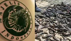 Komisi Fatwa MUI Soroti Dugaan Pembasmian Ikan Sapu-sapu di Jakarta dengan Cara Mengubur dalam Keadaan Hidup